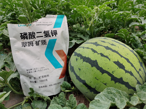 水溶肥，翠姆，拉姆拉