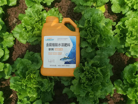水溶肥,翠姆，蔬菜水溶肥