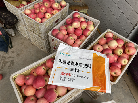 水溶肥品牌,翠姆,蘋(píng)果種植
