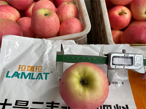 水溶肥品牌,翠姆,蘋(píng)果種植